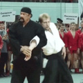 The Great Steven Seagal everyone!