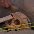 Se eu fosse arqueólogo