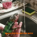 ....... Gaybrielp faz fursuit de Iguana e confunde a água corrente com uma giromba, tentando de toda forma agarrar aquele ser girombal para gozar cloacalmente