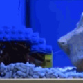 A hermit crab living in a Lego shell