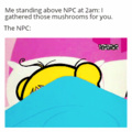 I love NPC vibes