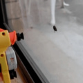 Nerfing a fly