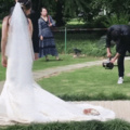 the cat objects to this marriage