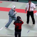 Referee gets tired of the karate players shit