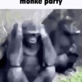 monke party
