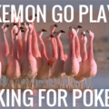 Pokemon go
