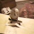 He was a skater bird 
She said see you later bird
