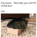 Poor box