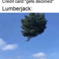 Lumberjack é lenhador