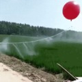 Isso que é irrigação