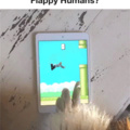 flappy humans