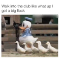 what the duck?