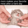 say thanks to your mom every now and then