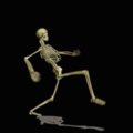 Esqueleto caminando