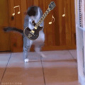 Rockin' pussy