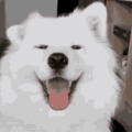 commented item thumbnail