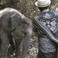 Dancing with an elephant ^_^