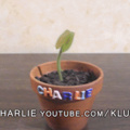 commented item thumbnail