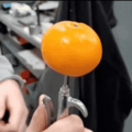 O jeito correto de abrir uma laranja