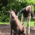 that's the spot (Tapir approves )