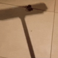 commented item thumbnail
