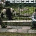 Kung fu panda é o caralho,humano