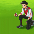 La capture d'un Roucool sur Pokemon GO
