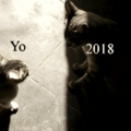 Yo vs 2018