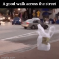 Always look both ways before crossing the street
