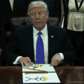 Donald Draws
