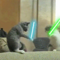 Jedi Pussies.