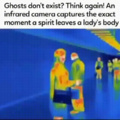 Ghost is real?