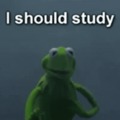 Everytime I try to study but...