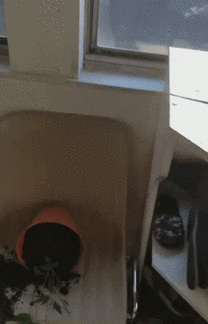 guilty - Meme by Jack_The_Raper :) Memedroid