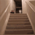 Brony descendo as escadas para tomar sua mamadeira de sêmen