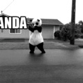 Danse du panda