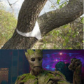 Perfect Groot Mind