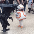 BB8 Approves