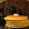 Pancake thief