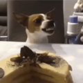 Cuando no quieres compartir con nadie tu pastel