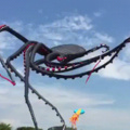 Oh yeah Octopuss kite