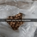 No Nutty nutt