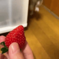 Seeing a strawberry for the first time