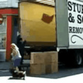 commented item thumbnail